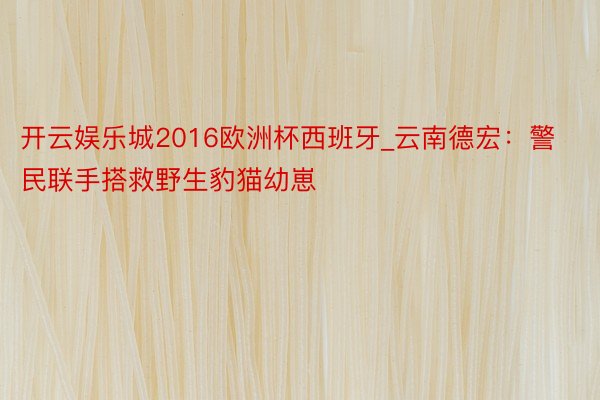 开云娱乐城2016欧洲杯西班牙_云南德宏：警民联手搭救野生豹猫幼崽