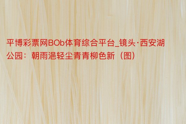 平博彩票网BOb体育综合平台_镜头·西安湖公园：朝雨浥轻尘青青柳色新（图）