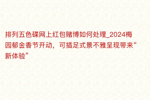 排列五色碟网上红包赌博如何处理_2024梅园郁金香节开动，可插足式景不雅呈现带来“新体验”