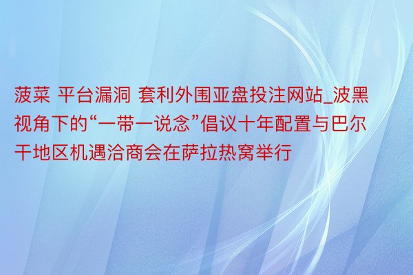 菠菜 平台漏洞 套利外围亚盘投注网站_波黑视角下的“一带一说念”倡议十年配置与巴尔干地区机遇洽商会在萨拉热窝举行